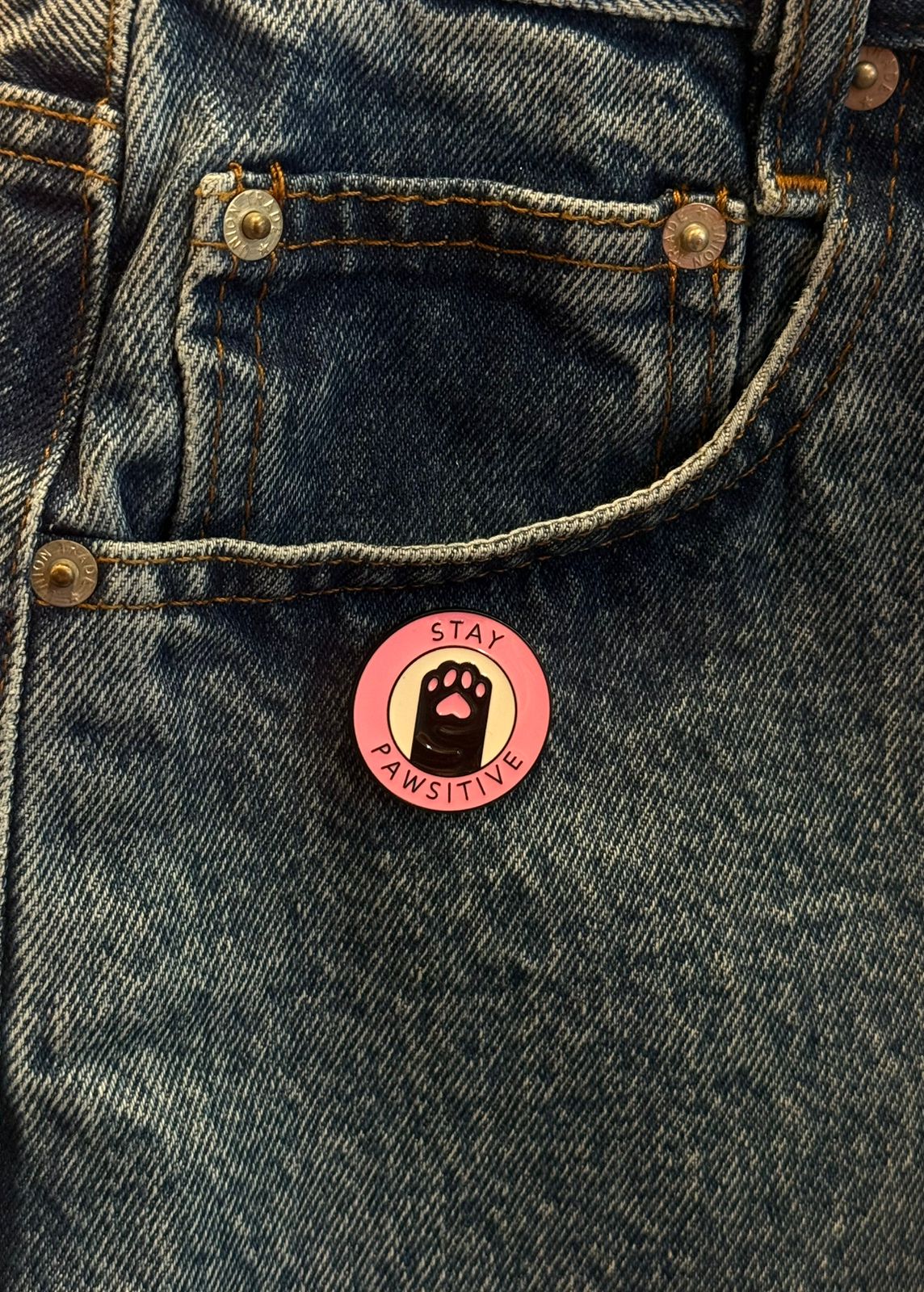 Stay Pawsitive Pin