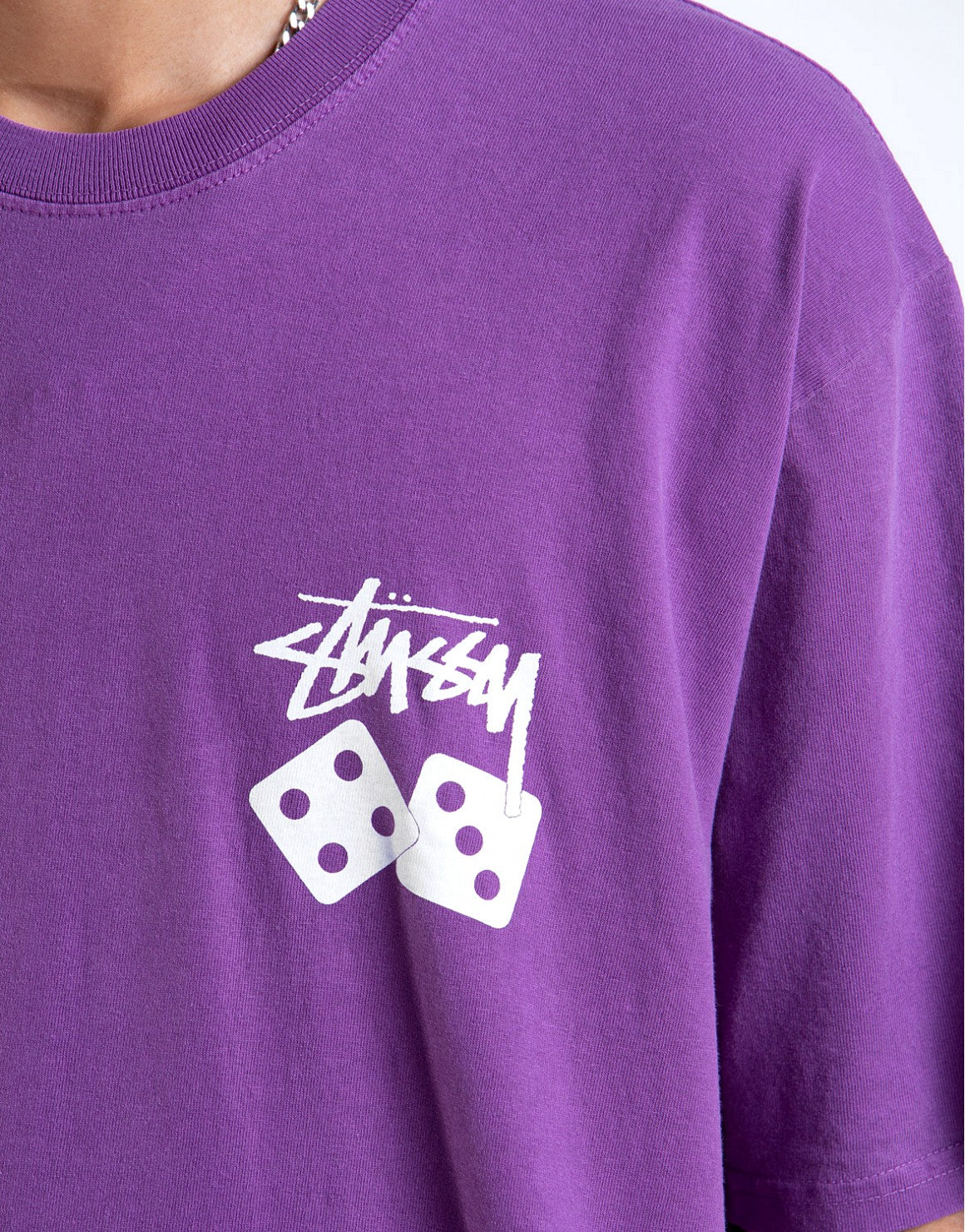 Stussy Dice Pig Dyed Tee