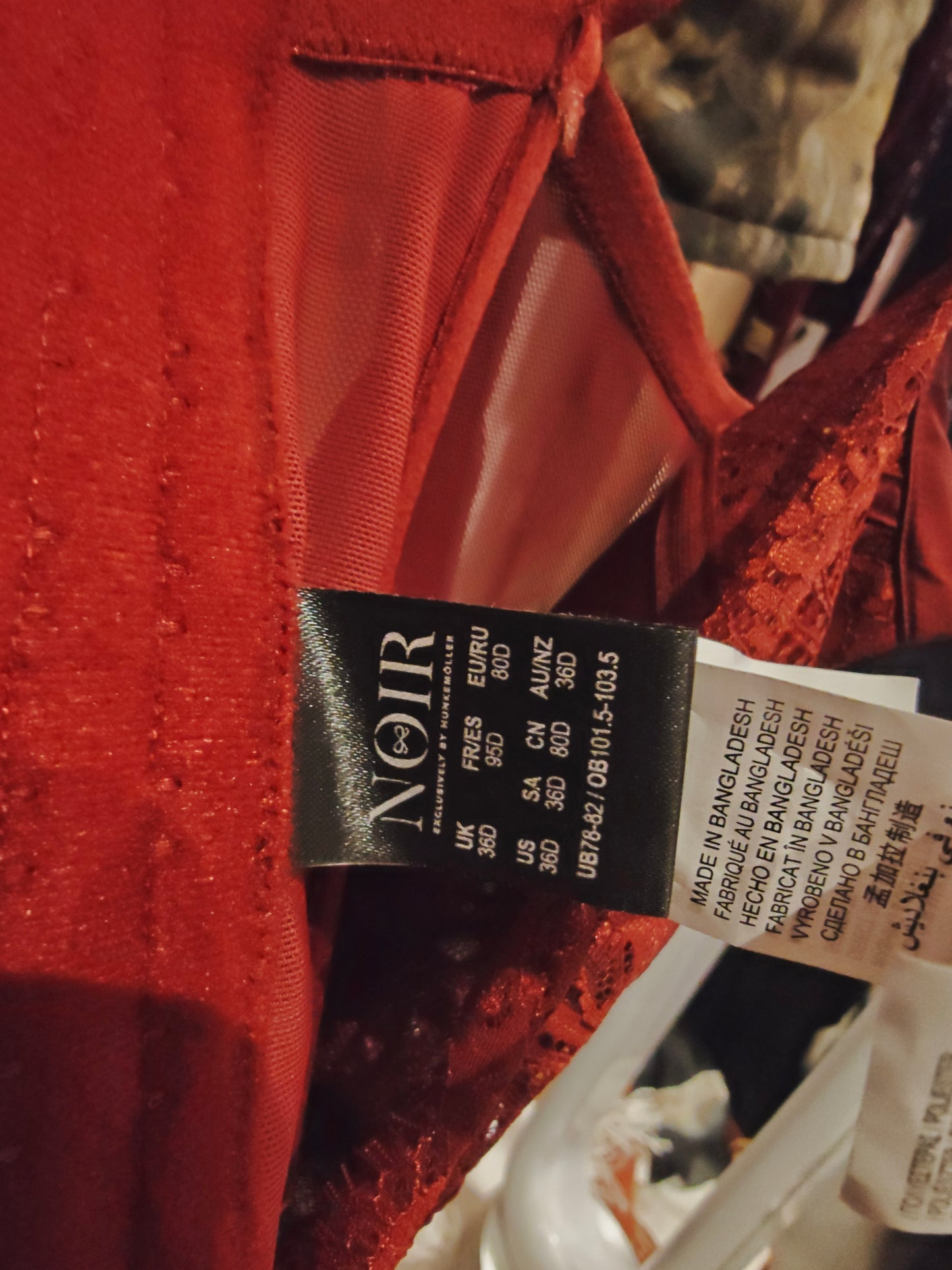 Aaliyah Kashyap’s Closet - Noir Red Lace Corset