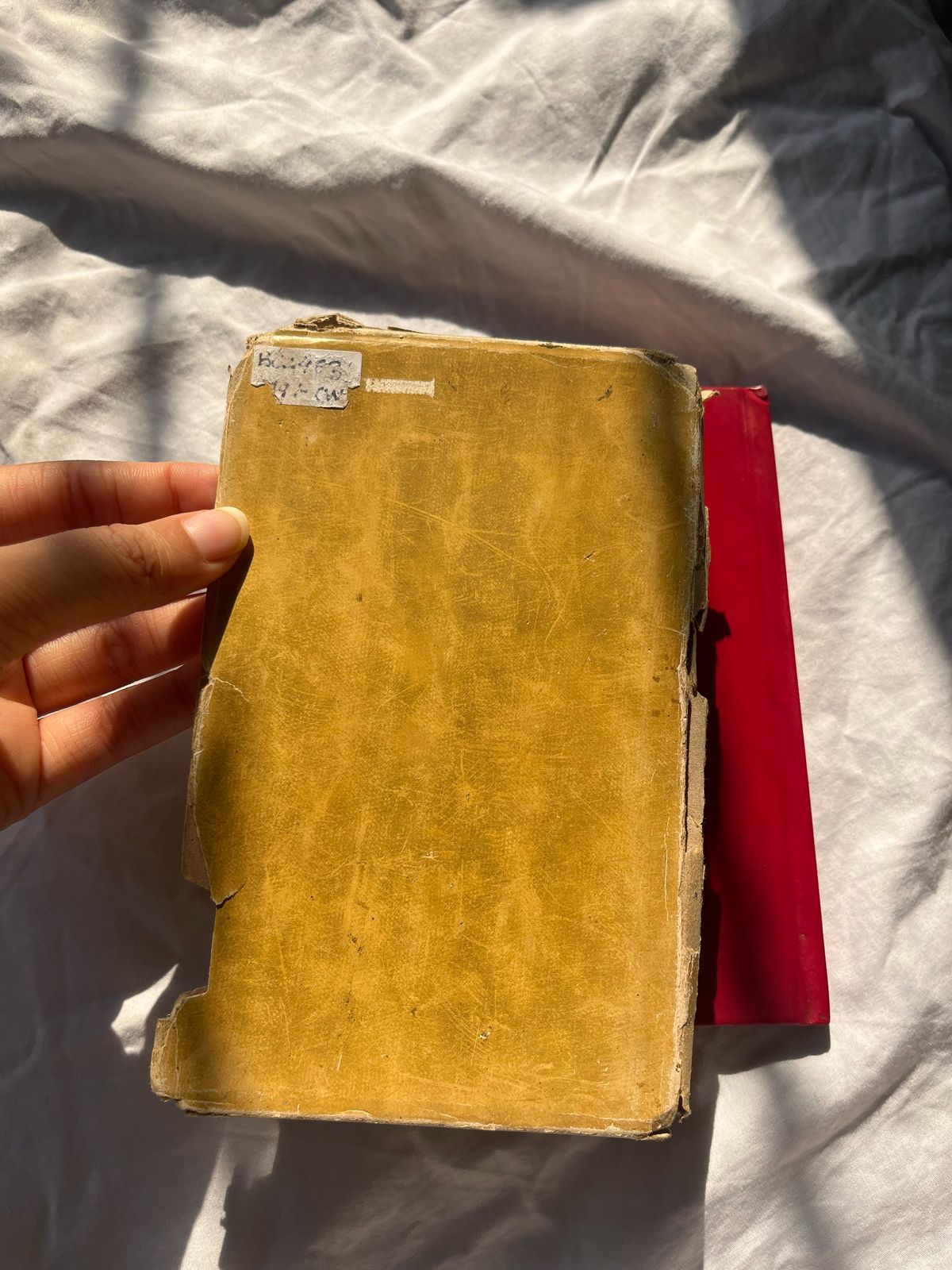 Rubáiyát of Omar Khayyám