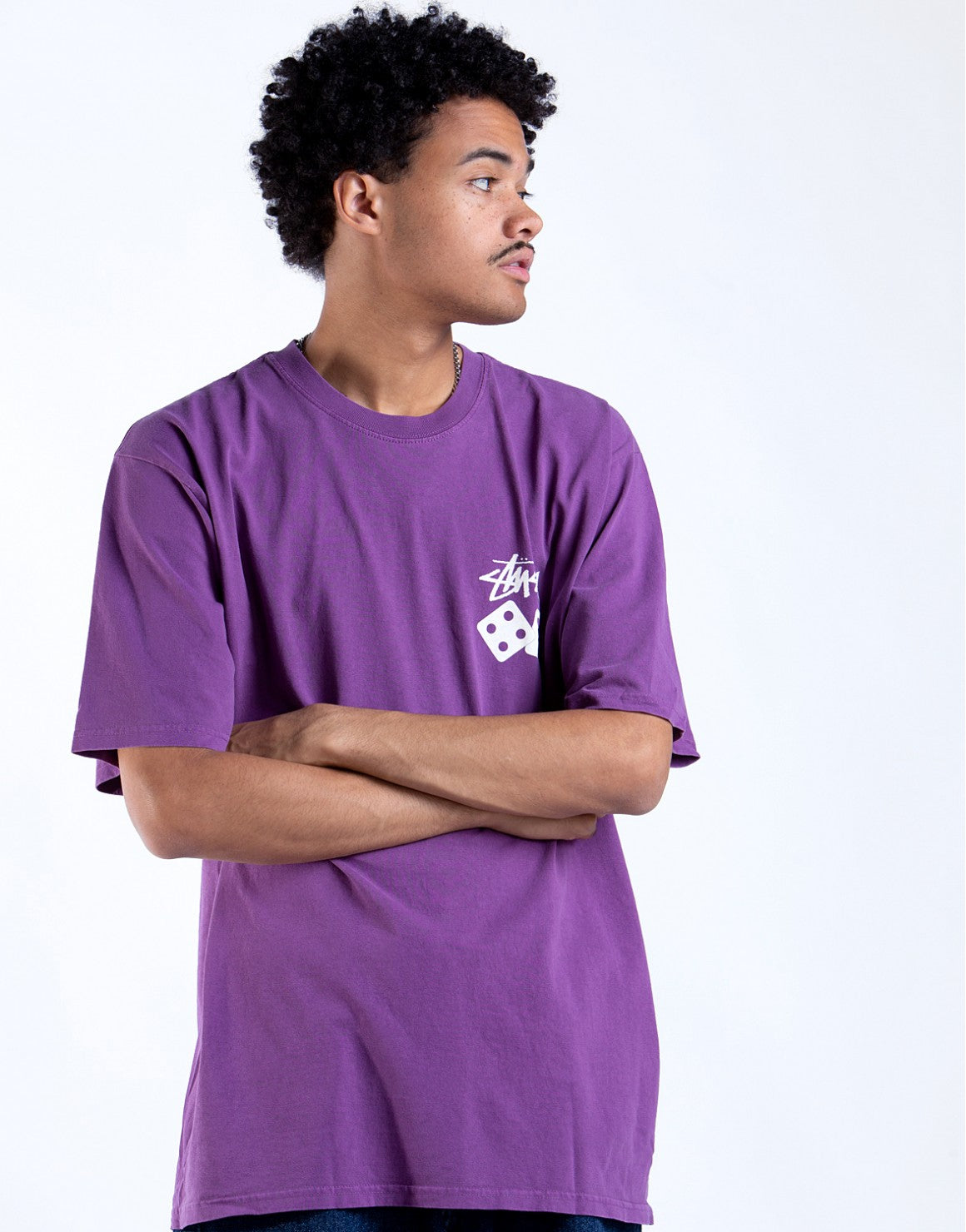 Stussy Dice Pig Dyed Tee