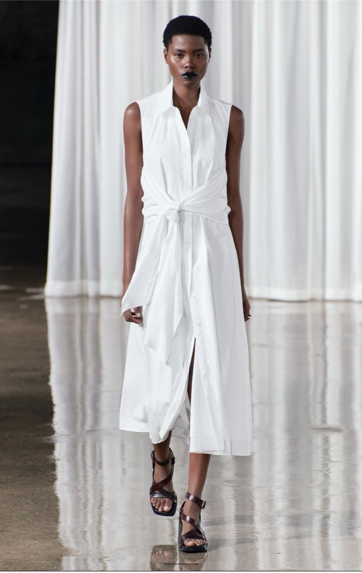 WHITE ( ZARA DRESS)