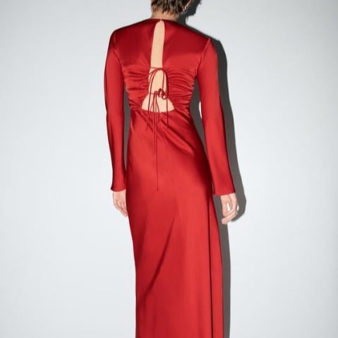 Zara Red Dress