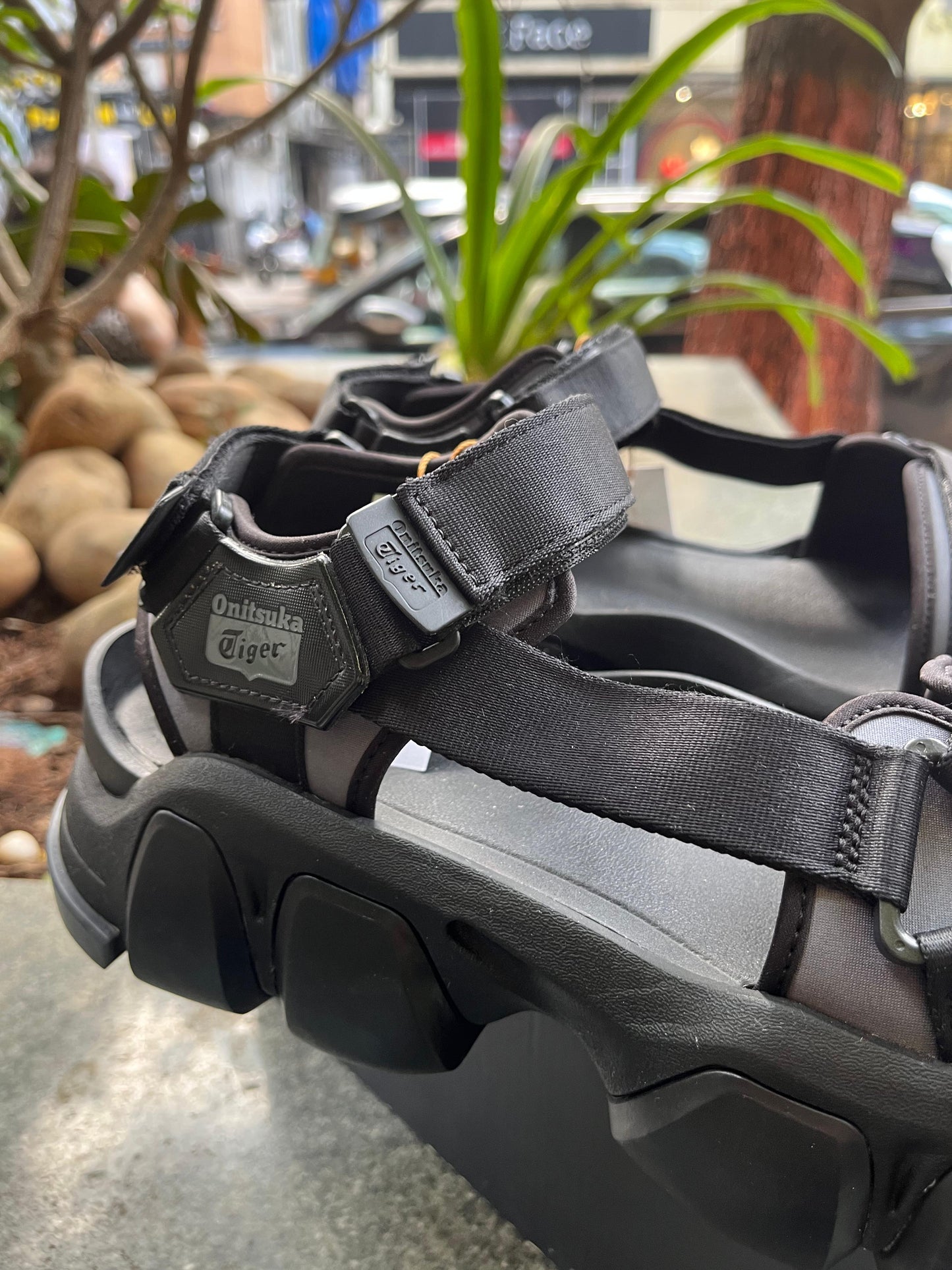 Onitsuka Tiger Black SUnisex Dentigre Floater Sandal
