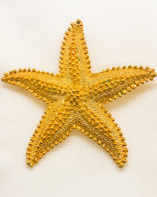 Starfish Brooch