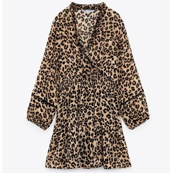 Zara Leopard Print Dress