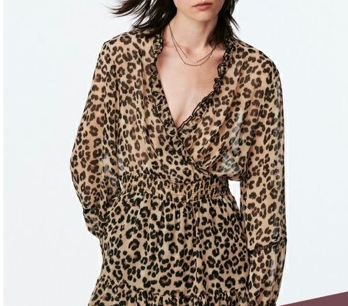 Zara Leopard Print Dress