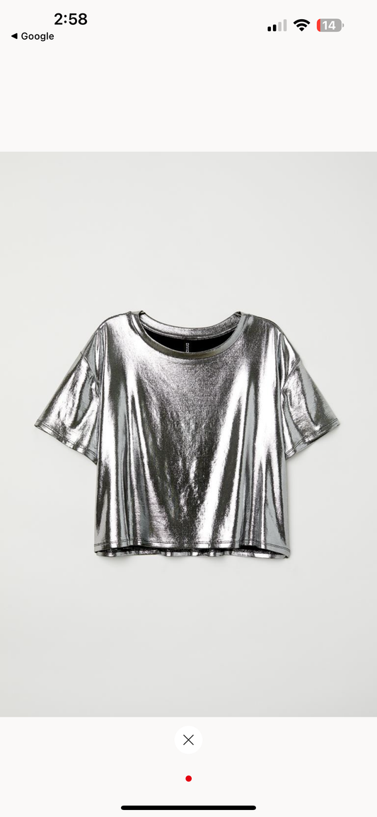 H&M Silver Shimmer Metallic Top