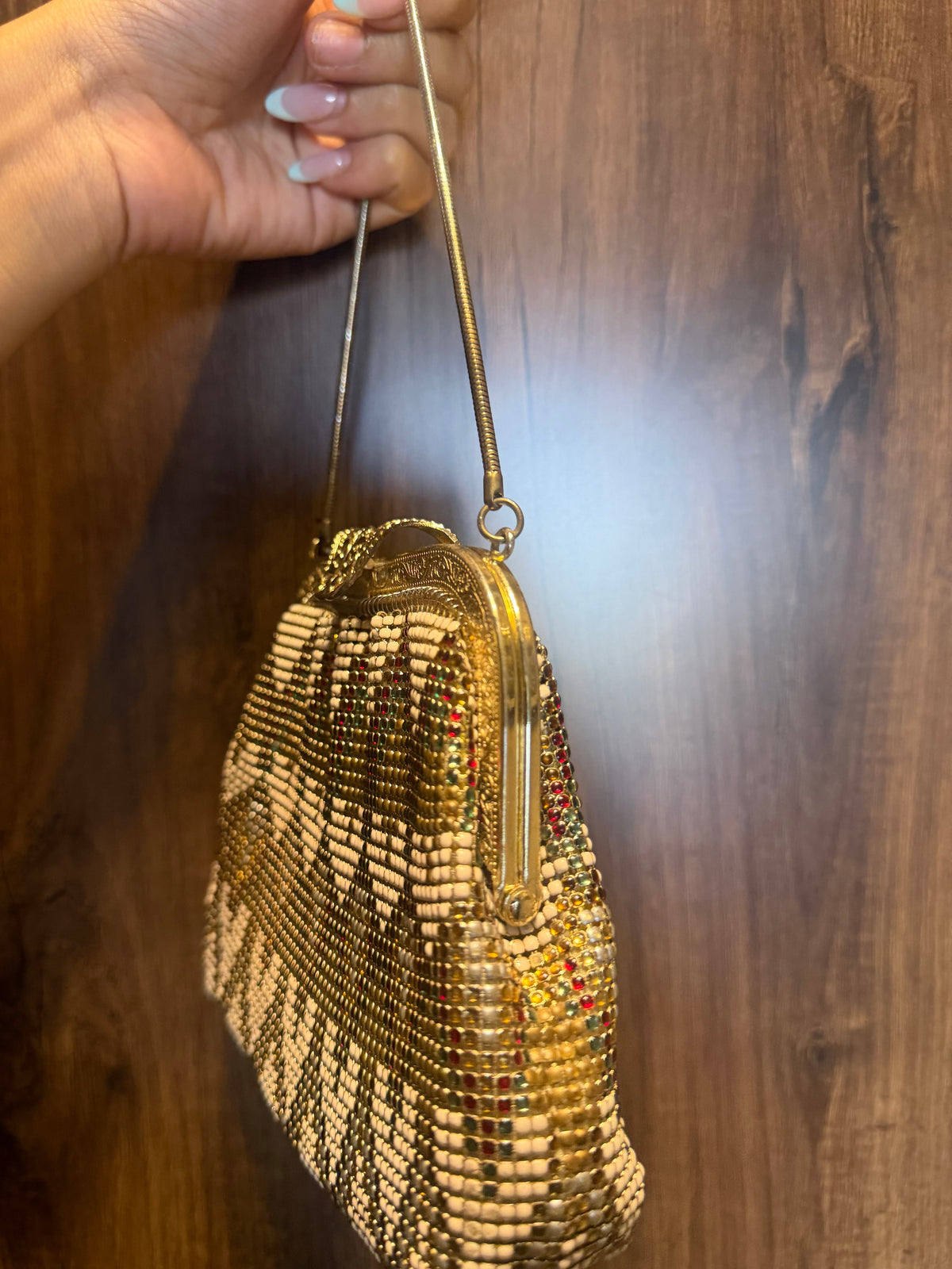 Multi Metal Mesh Mini Vintage Bag