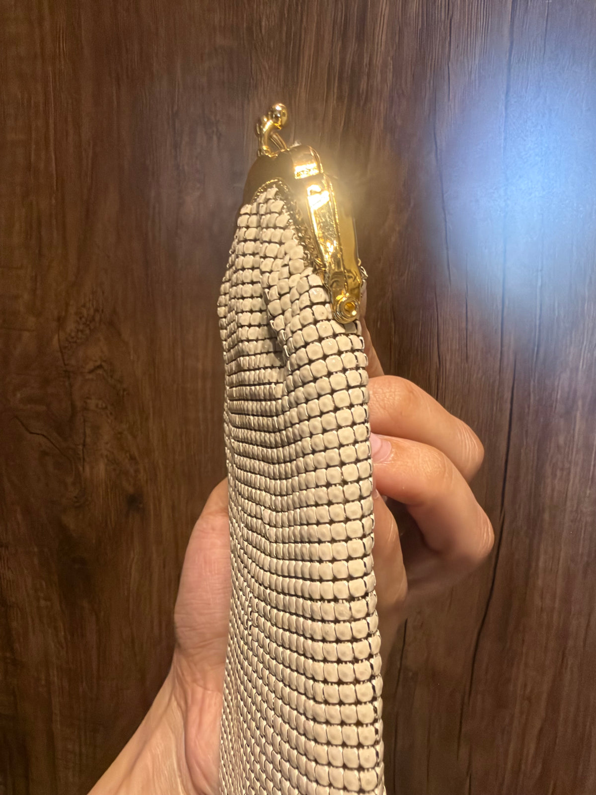 Cream Metal Mesh Coin Pouch