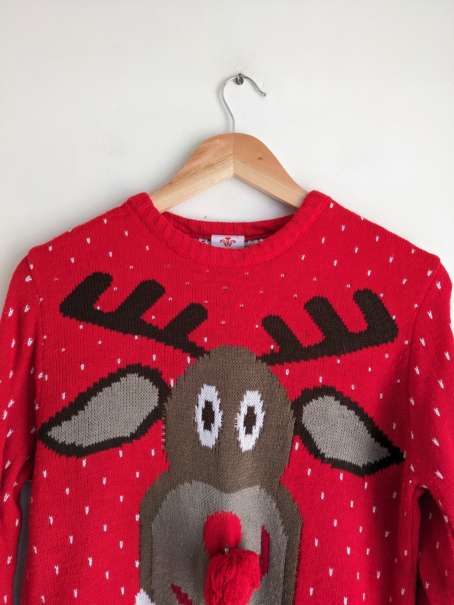 Red Rudolph Christmas Sweater