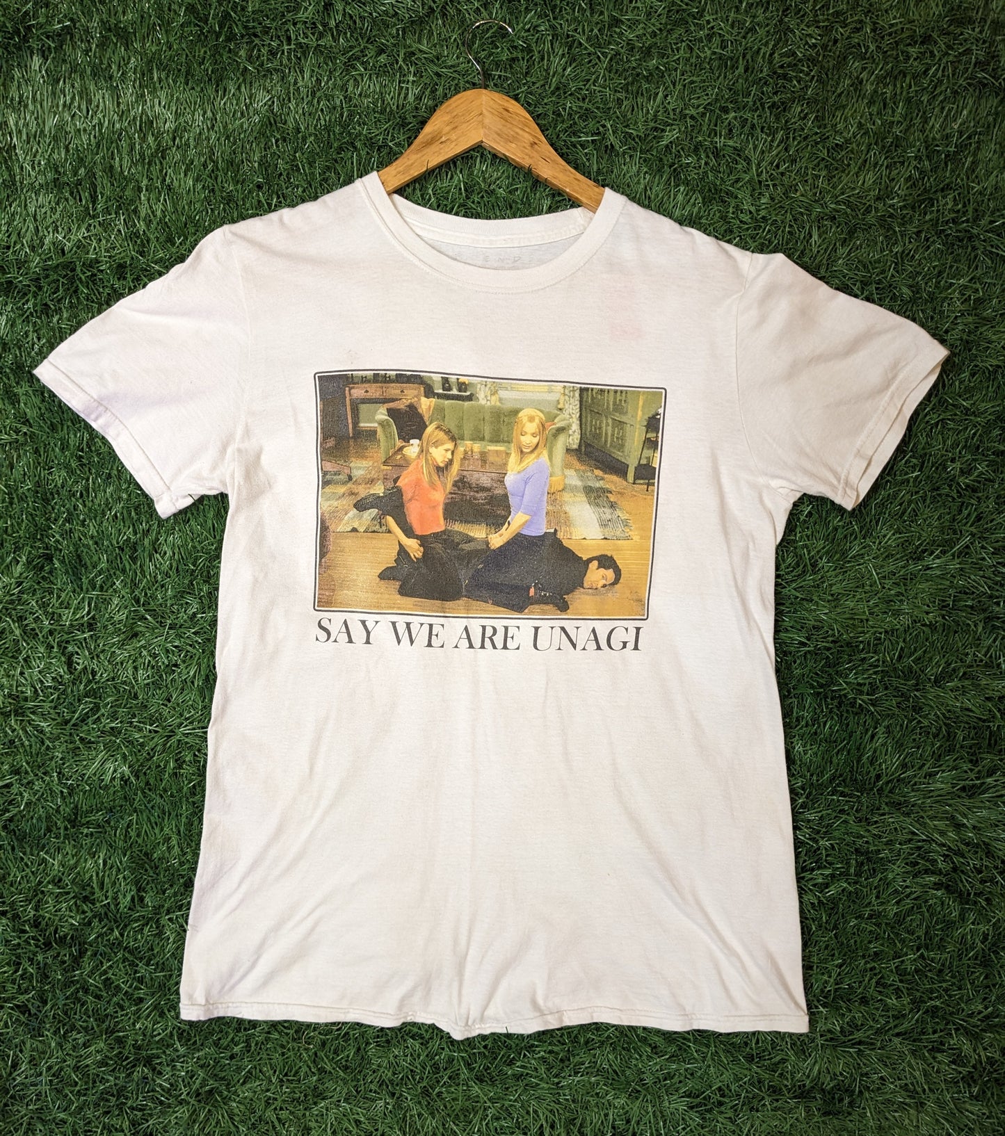 Say We Are Unagi Friends TV Show Tee