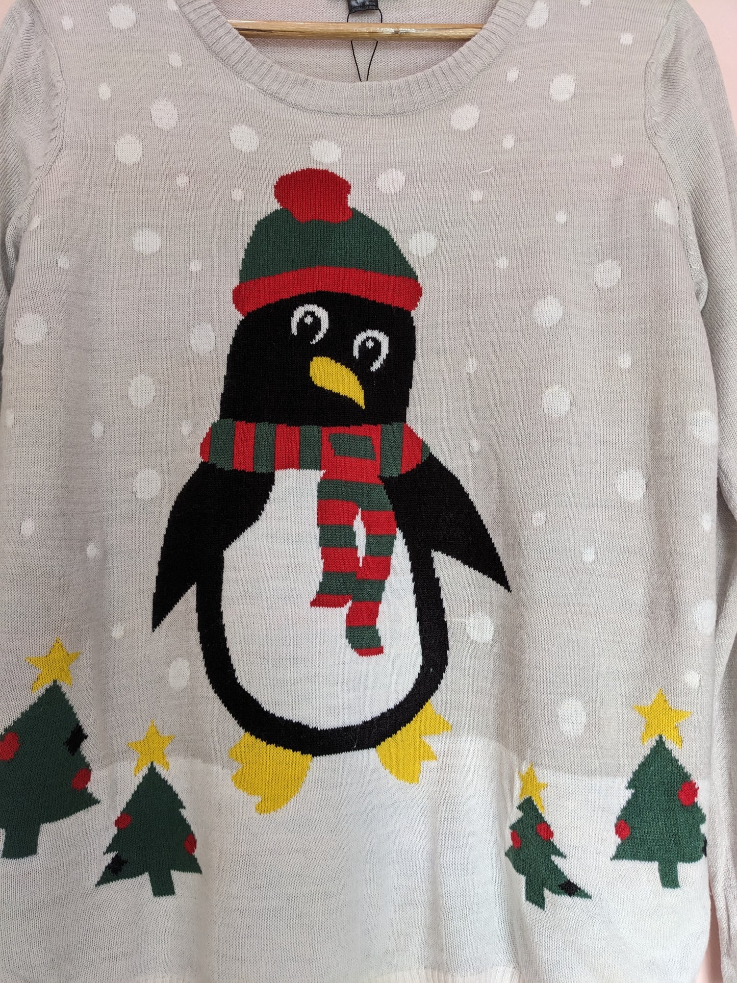 Esmara Penguin Christmas Sweater