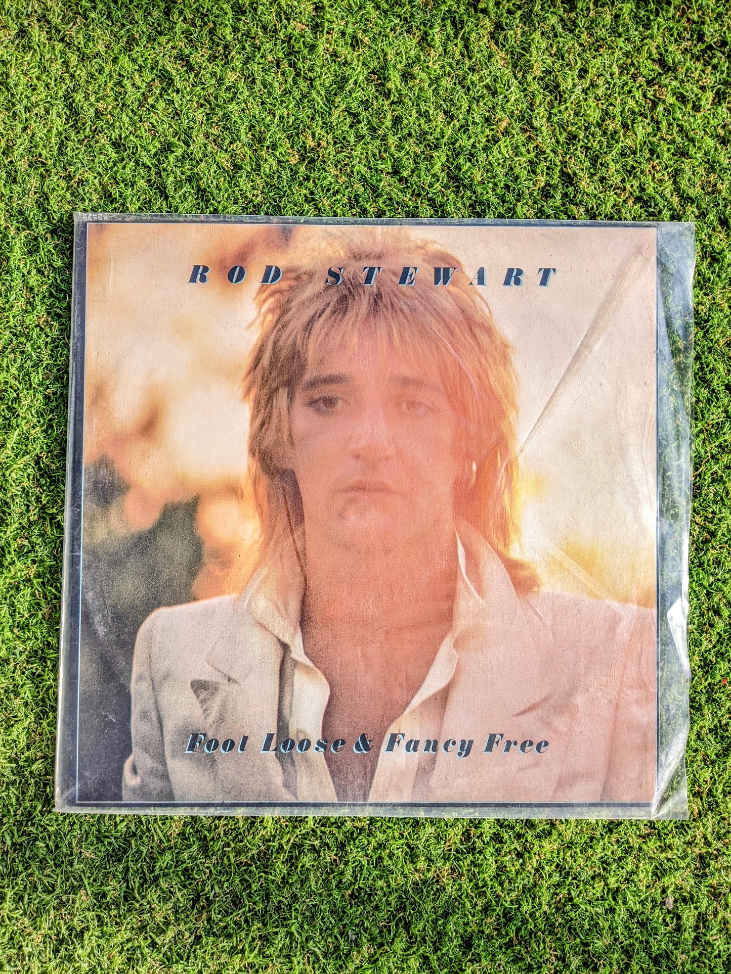 Rod Stewart Vinyl Record