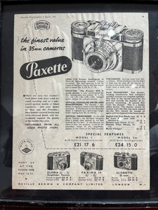 Paxette Vintage Frame