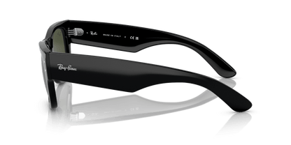 Rayban Sunglasses