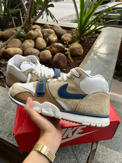 Air Trainer 1
Limestone and Valerian Blue