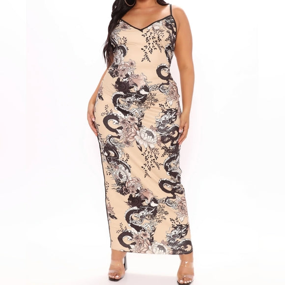 Fashion Nova Dragon Print Dress