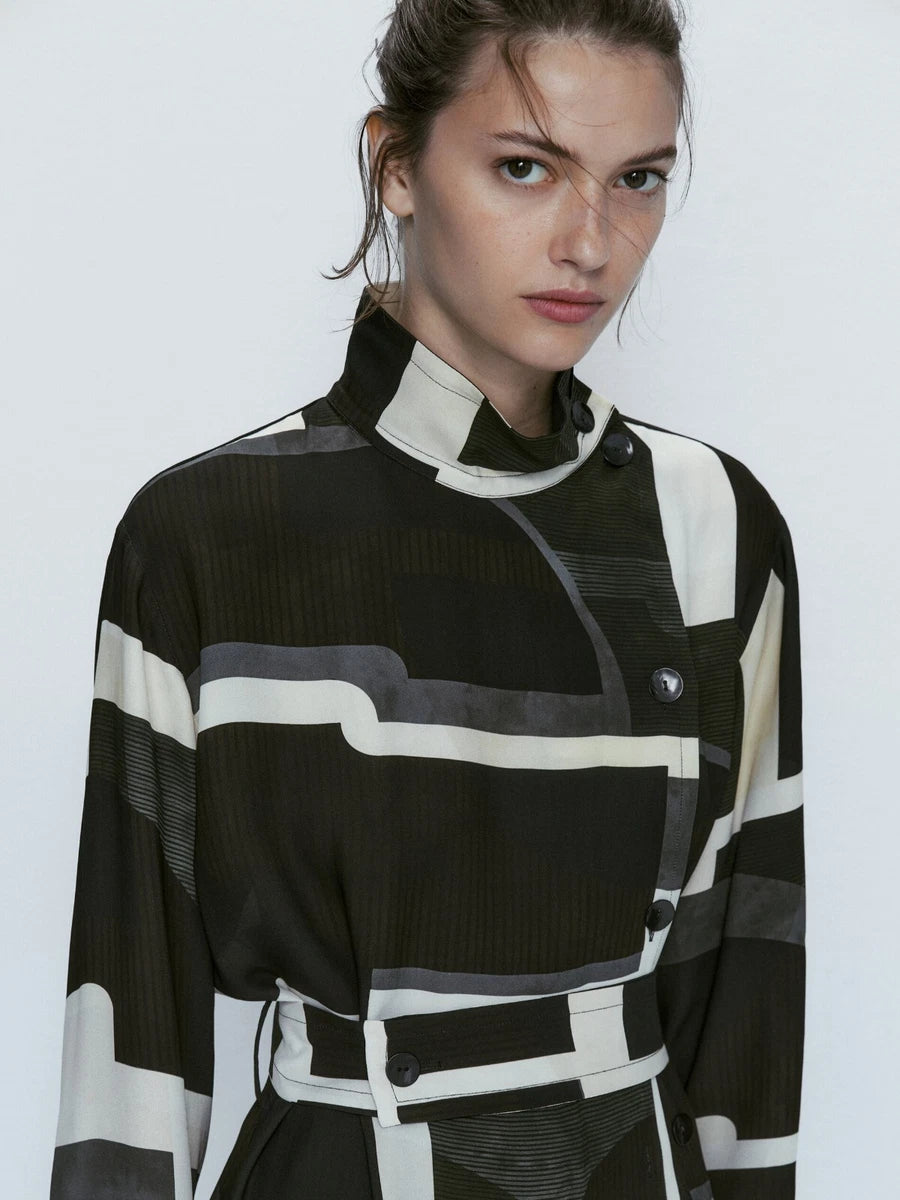 Massimo Dutti Dress