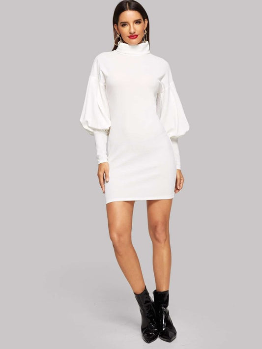 Shein Roll Neck Balloon Sleeve Bodycon Dress