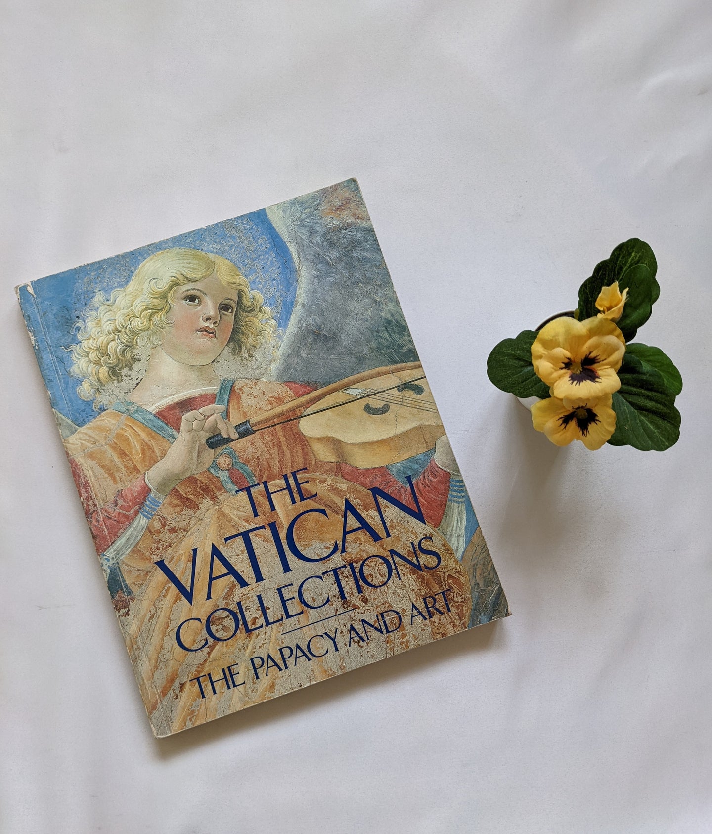 The Vatican Collections The Papacy And Art